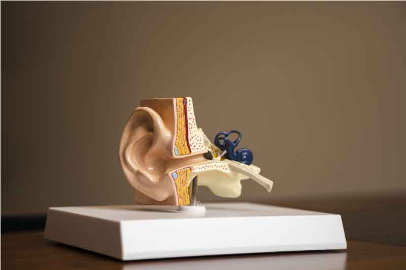 physiotherapie vestibulaire oreille interne
